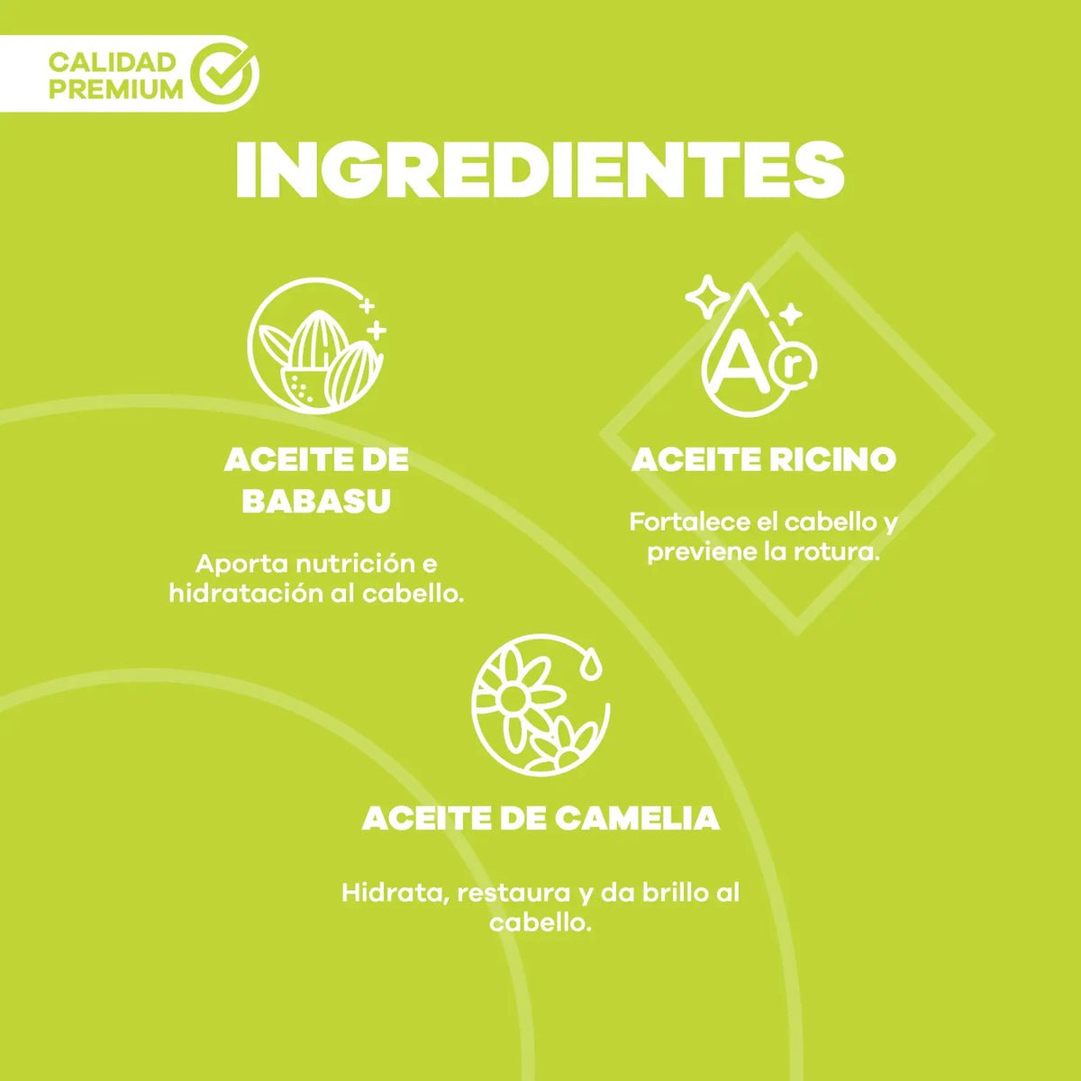 Oleo b8 brillo infinito
